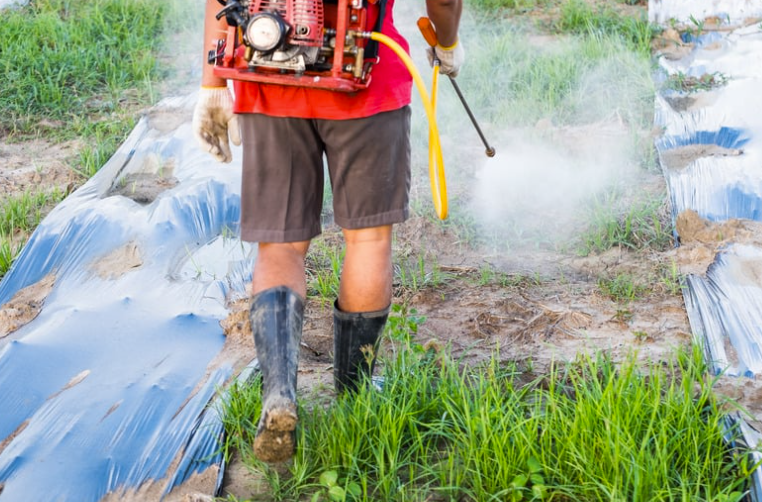 sulfate de cuivre désherbant