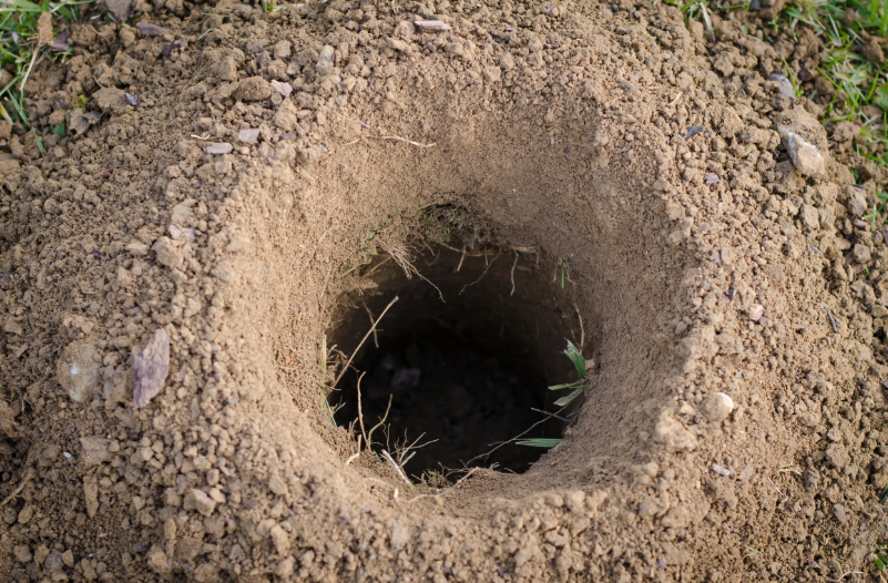 Trous dans le jardin sans monticule