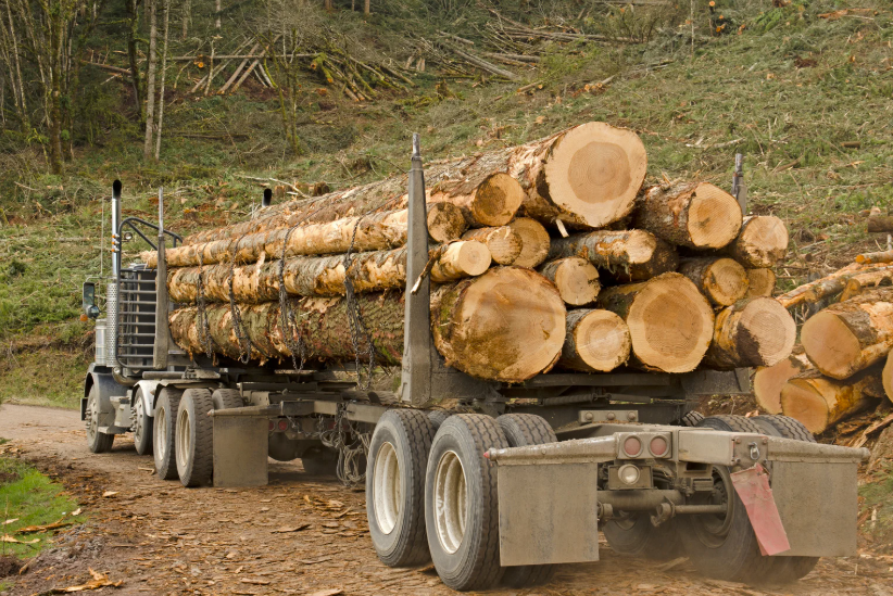 Prix camion grume 2025