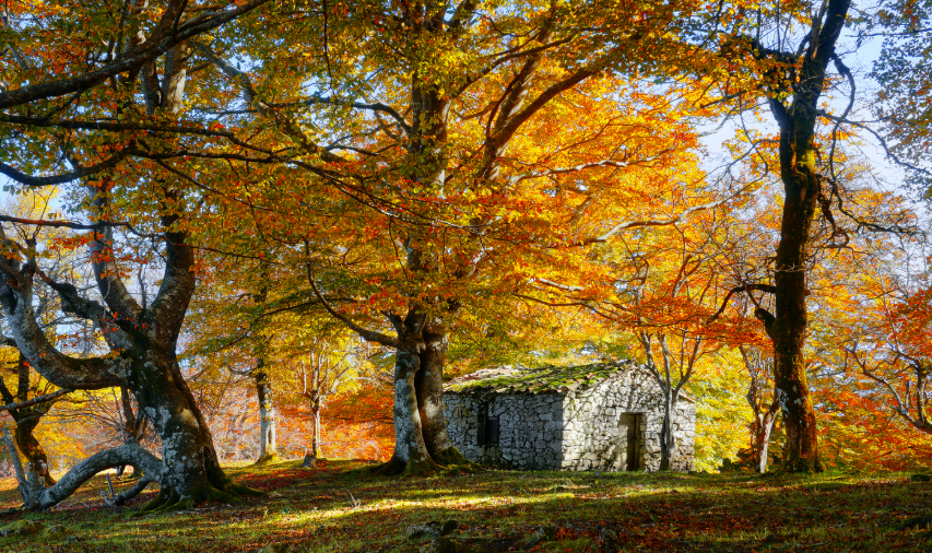 Construction sauvage qui paye les cabanes